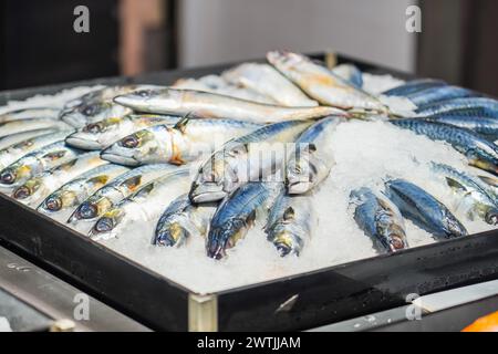 Sgombro dell'Atlantico pesce intero al mercato del pesce in vendita sul ghiaccio. Foto Stock