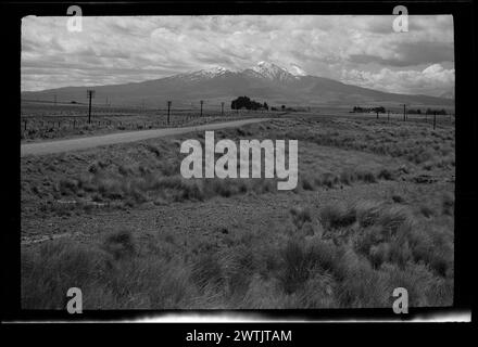 Taupo trip gelatina argento negativi, bianco e nero negativi Foto Stock