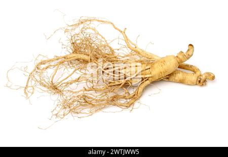 Radici di ginseng su sfondo bianco Foto Stock