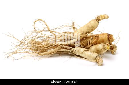 Radici di ginseng su sfondo bianco Foto Stock