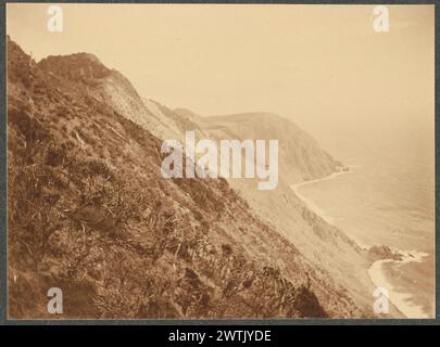 Le scogliere occidentali di Kapiti Island mostrano la loro altezza massima di 1700 piedi in stampe fotografiche a media distanza, stampe in argento gelatina Foto Stock