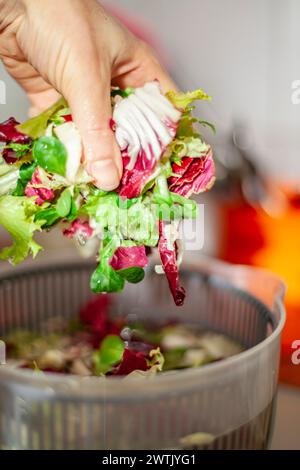 Donna che lava le foglie dell'insalata in centrifuga. Sana preparazione del pranzo in cucina a casa. Concetto Keto. Foto Stock