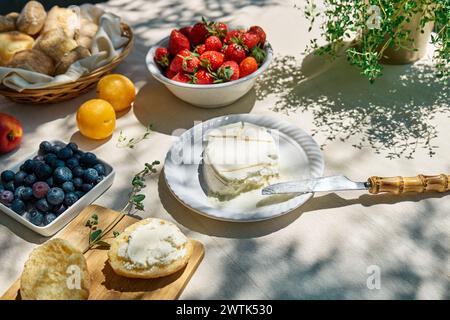 Mini panini dolci per una sana colazione in giardino. Toast con formaggio spalmabile, mirtilli, fragole, scaglie di cocco ed erbe aromatiche per il picnic estivo Foto Stock