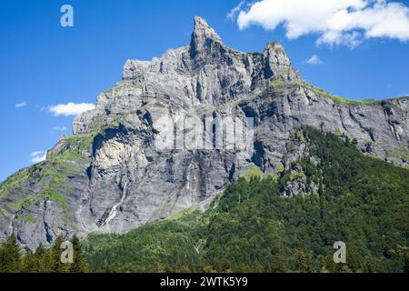 Il picco della montagna raggiunge il cielo in cima, mentre la foresta e il fogliame crescono sotto Foto Stock