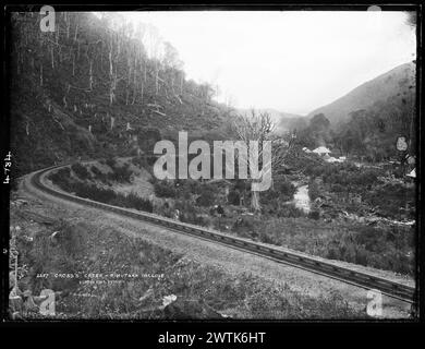 Cross's Creek, Rimutaka Incline gelatine piatti negativi secchi, negativi in bianco e nero Foto Stock