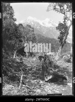 Vicino alla casa di alloggio, Otira, West Coast Road gelatina piatti secchi negativi, negativi in bianco e nero Foto Stock