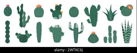 Cactus cartoni animati. Graziosa pianta di fichi d'India con fiori, icone decorative della flora del deserto messicano, elementi decorativi organici per il design estivo. Set isolato vettoriale Illustrazione Vettoriale