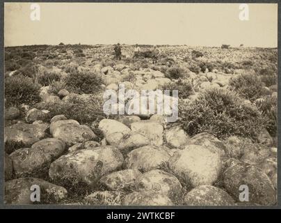 Il grande masso rialzato della costa settentrionale delle stampe fotografiche Kapiti, stampe in argento gelatina Foto Stock