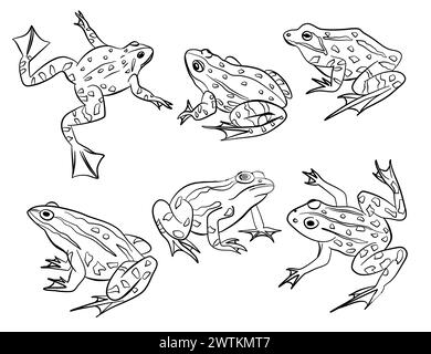 Frog Outline Actions illustrazione raccolta vettoriale. Set di sei rettili Illustrazione Vettoriale