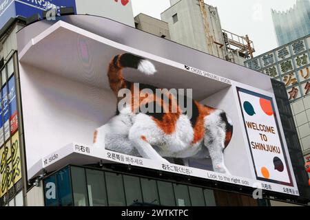 AFFISSIONI DIGITALI DI UN GIGANTE CAT 3D REALISTICO STUPISCE GLI SPETTATORI A TOKYO Foto Stock