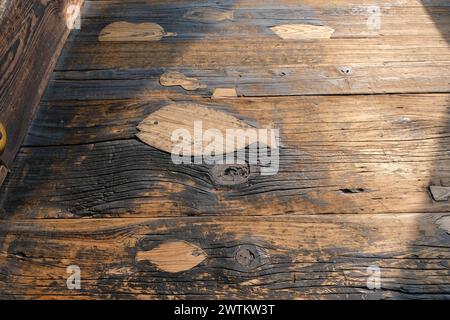Riparazione di pavimenti in legno a Nishi Honganji, sito patrimonio dell'umanità dell'UNESCO Foto Stock