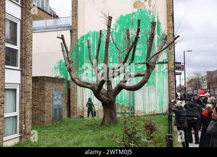 Londra, Regno Unito, 18 marzo 2024. I visitatori si sono riuniti a Hornsey Street, vicino a Finsbury Park, a nord di Londra, per vedere il nuovo murale di Banksy. La vernice verde è stata spruzzata su un muro dietro l'albero per dare l'illusione di fogliame, con una persona che tiene un tubo flessibile a pressione stampigliato accanto ad esso. La vernice verde sembra assomigliare al colore della segnaletica del Consiglio di Islington, e c'è anche un possibile collegamento con il giorno di San Patrizio di ieri. Credito : Monica Wells/Alamy Live News Foto Stock