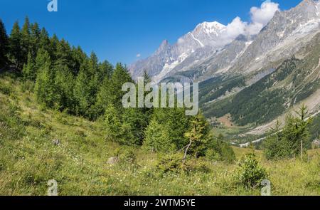Il massiccio del Monte Bianco dalla Val Ferret in Italia. Foto Stock