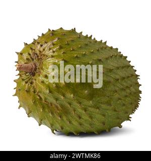 primo piano di soursop o mela crema pasticcera, aka graviola o annona muricata, grande frutto tropicale con pelle esterna verde spessa, la polpa è cremosa e dolce Foto Stock