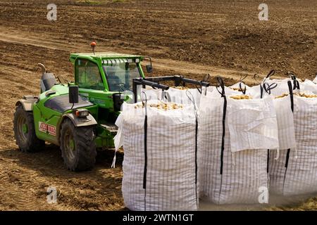 Huevar del Aljarafe, Siviglia, Spagna - 2 giugno 2023: Un trattore tira un enorme sacco di patate in un campo polveroso nella campagna. Foto Stock