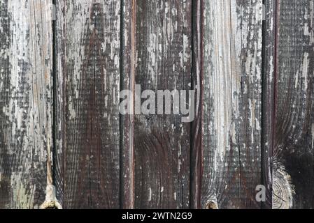 antico sfondo rustico grigio in legno. Foto Stock