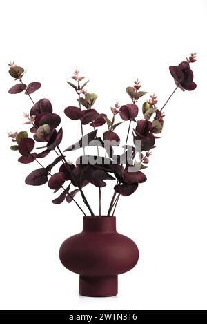 Un mazzo di fiori scuri essiccati in un vaso di Borgogna isolato su sfondo bianco. Decorazioni semplici e minimali Foto Stock