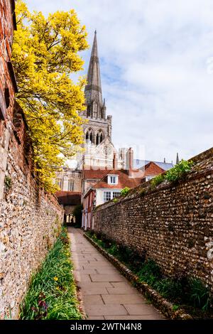 La passeggiata di St Richard. Per secoli, i pellegrini hanno utilizzato questo percorso per avvicinarsi alla Cattedrale. Chichester Cathedral, formalmente conosciuta come Cathedral Churc Foto Stock