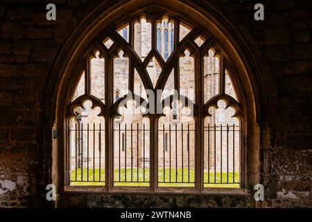 Dettaglio del chiostro gotico. La cattedrale di Chichester, formalmente conosciuta come la chiesa cattedrale della Santa Trinità, è la sede del vescovo anglicano di Foto Stock