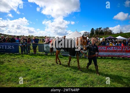 Eyton Races - corse ippiche Point 2 Point Foto Stock