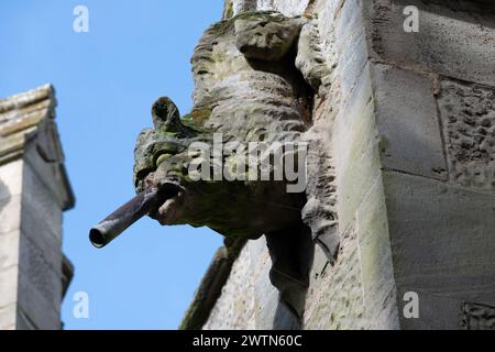 Un gargoyle sulla St. Leonard's Church, Charlecote, Warwickshire, Inghilterra, Regno Unito Foto Stock