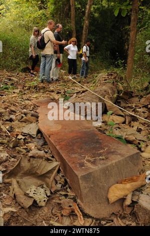 Villaggio di Ban Huay Daue: Ein gerodeter Mahagoni-Holzstamm. In Laos ist muore legale nur dem Staat vorbehalten. Tagliare il legno di Mahagoni: Solo IN Laos Foto Stock