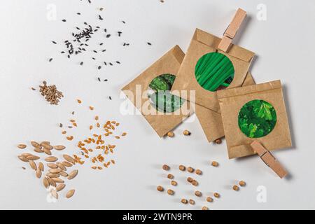 Semi di varie verdure e pacchetti di semi su sfondo bianco, vista dall'alto Foto Stock