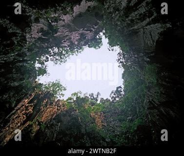 Malesia. Selangor. Distretto di Gombak. Vista interna delle grotte di Batu dell'apertura del cielo. Foto Stock