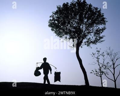 Cina. Jiangsu. Sagoma dell'uomo del posto che trasporta i fasci. Foto Stock