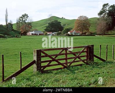 Nuova Zelanda. Porta in legno al campo con fattoria. Foto Stock