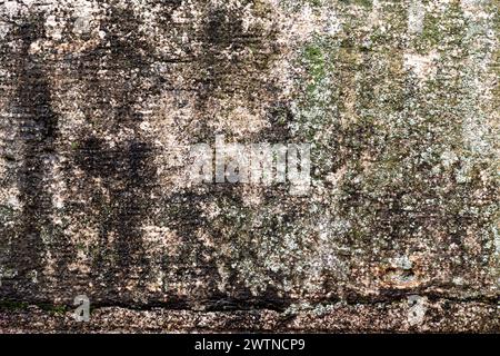 Vecchio frammento di parete in cemento, sfondo con struttura scura in stucco Foto Stock