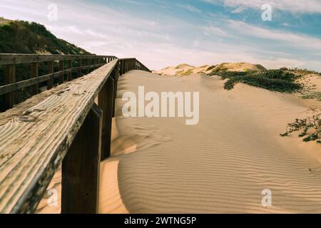 Dune di sabbia al tramonto e una lunga passerella in legno che conduce alla spiaggia, un bellissimo cielo argilloso sullo sfondo. Oceano, California Central Coast Foto Stock