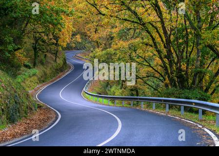 Splendido tratto autunnale di curve su una strada rurale tra foreste decidue vicino a Portomarin, nel Lugo Galizia Foto Stock