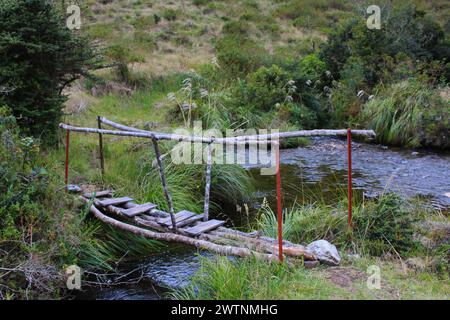 Paesaggio con ponte per attraversare una laguna nel Puracé paramo Foto Stock