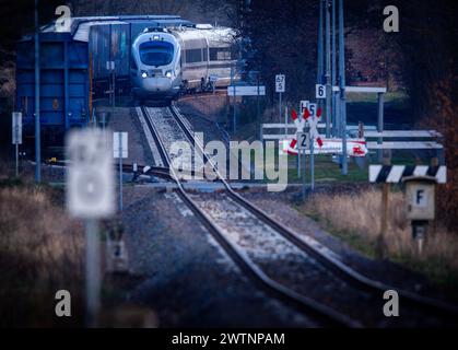 Alt Schwerin, Germania. 18 marzo 2024. Il treno di prova "Advanced TrainLab" della Deutsche Bahn è in funzione sul binario di prova per il progetto ferroviario 5G. Il progetto, al quale partecipano Telefónica (O2), Deutsche Bahn, Ericsson e Vantage Towers, mira a testare le possibilità di utilizzare lo standard di comunicazione mobile 5G sui viaggi in treno. Ciò dovrebbe migliorare significativamente la ricezione dei telefoni cellulari durante i viaggi in treno. Crediti: Jens Büttner/dpa/Alamy Live News Foto Stock