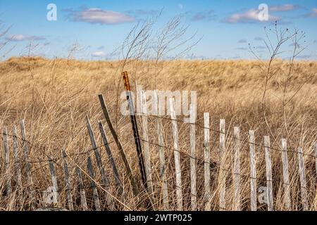 Salisbury Town Beach, Massachusetts Foto Stock