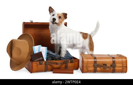 Viaggia con il tuo animale domestico. Cane, vestiti e valigie su sfondo bianco Foto Stock