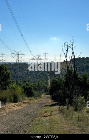 La maggior parte dell'elettricità di Victoria è stata generata nella valle della Trobe i Gippsland, e ha raggiunto Melbourne attraverso queste linee di trasmissione. Potenza! Foto Stock