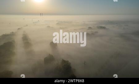 Questa fotografia aerea mostra una scena mozzafiato in cui una nebbia di prima mattina inonda una fitta foresta all'alba. La luce del sole nascente filtra attraverso la nebbia, emettendo una calda tonalità dorata sulle cime degli alberi e creando un effetto visivo stratificato. Le cime degli alberi sguardano fuori dalla coperta di nebbia, dando uno sguardo alla lussureggiante vegetazione sottostante. Le turbine eoliche lontane aggiungono un tocco di modernità al paesaggio naturale, suggerendo un equilibrio tra natura ed energia sostenibile. Foresta coperta all'alba a Mist. Foto di alta qualità Foto Stock