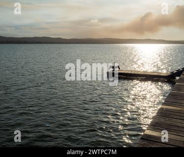 L'uccello Darter con le sue ali si è asciugato, in piedi all'estremità di un molo di legno che si protende sull'acqua del lago, fumando dal fuoco sullo sfondo Foto Stock