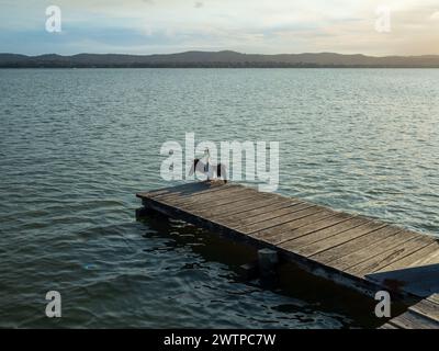 L'uccello Darter con le sue ali si stende asciugando mentre si trova all'estremità di un molo di legno che si protende sull'acqua del lago Foto Stock