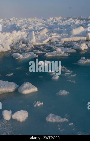 Paesaggio marino di impacchi rocciosi sul mare dei Chukchi in primavera, al largo del villaggio artico di Utqiagvik, Alaska artica Foto Stock