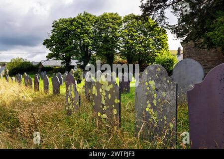 Vecchie lapidi in un prato, file di tombe in un cimitero, St Garmons Church, Capel Garmon, Conwy, Galles, Regno Unito Foto Stock