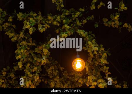 Il soffitto del ristorante della birra è decorato con rami di luppolo. Il design originale dell'impianto di abbeveraggio, combinato con l incandescente Foto Stock