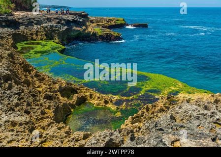 Devils Tears Bay sull'isola turistica di Nusa Lembongan, verde, colorato, formazione di alghe, splendente, estate, spettacolo naturale, attrazione Foto Stock