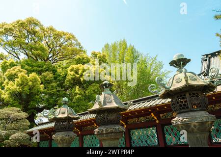 Ueno Park Toshogu santuario lanterne tradizionali a Tokyo, Giappone Foto Stock