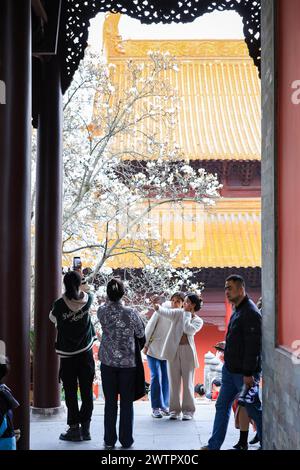 I fiori di Magnolia fioriscono al Palazzo Chaotian nella città di Nanchino, nella provincia cinese di Jiangsu, 17 marzo 2024. Foto Stock