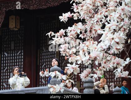 I fiori di Magnolia fioriscono al Palazzo Chaotian nella città di Nanchino, nella provincia cinese di Jiangsu, 17 marzo 2024. Foto Stock