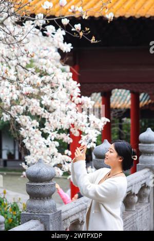 I fiori di Magnolia fioriscono al Palazzo Chaotian nella città di Nanchino, nella provincia cinese di Jiangsu, 17 marzo 2024. Foto Stock