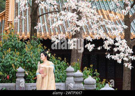 I fiori di Magnolia fioriscono al Palazzo Chaotian nella città di Nanchino, nella provincia cinese di Jiangsu, 17 marzo 2024. Foto Stock